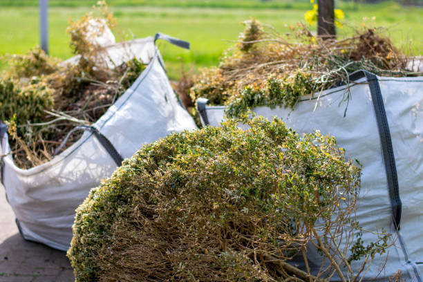 Best Furniture Removal  in Englewood, NJ